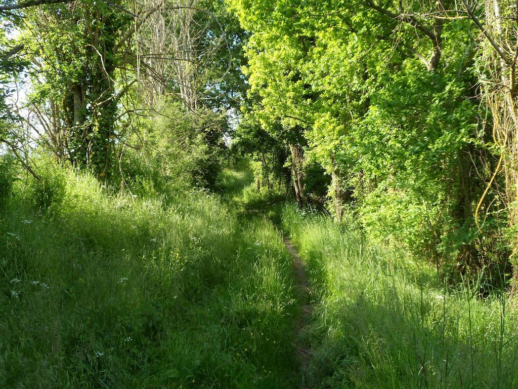 La Cle Des Chants Tauxigny 외부 사진